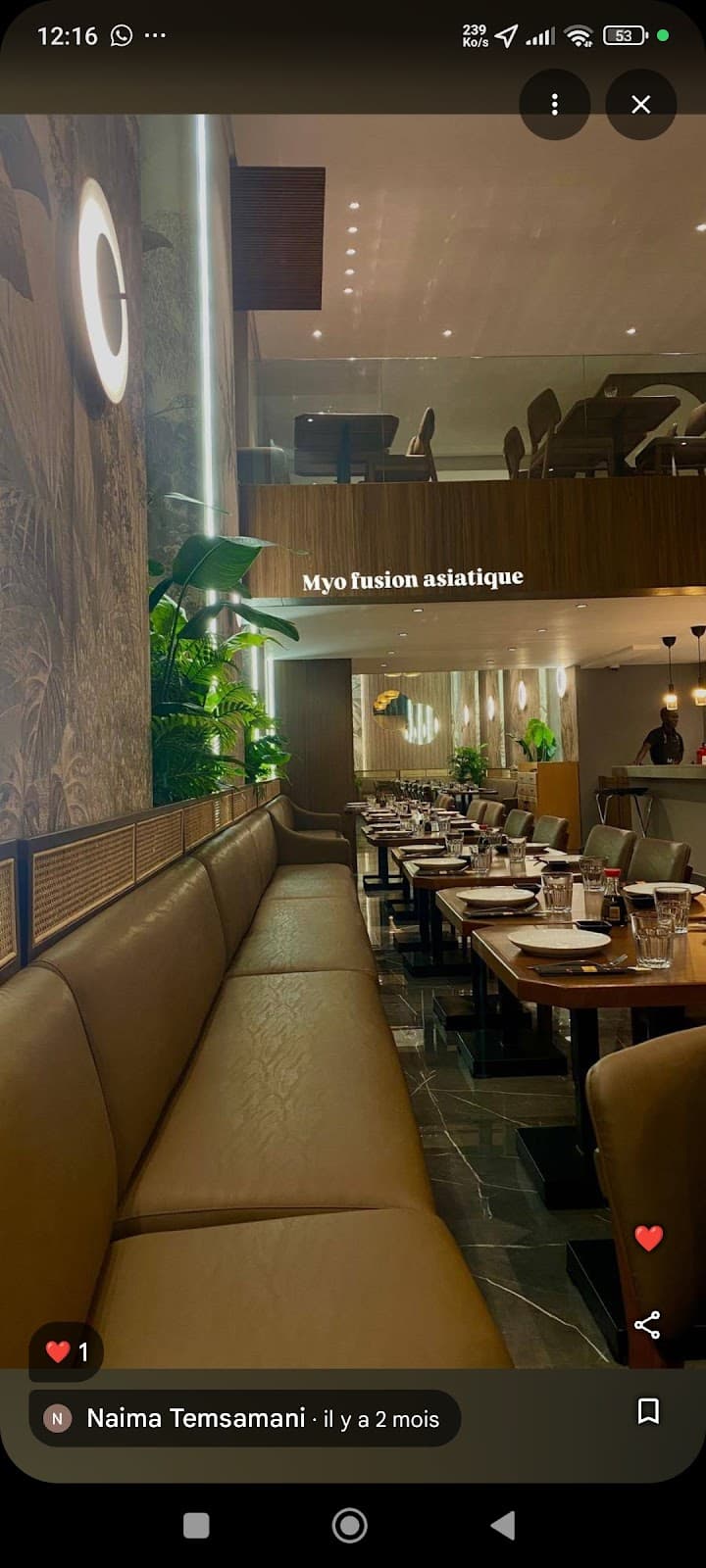 Myo Fusion Asiatique