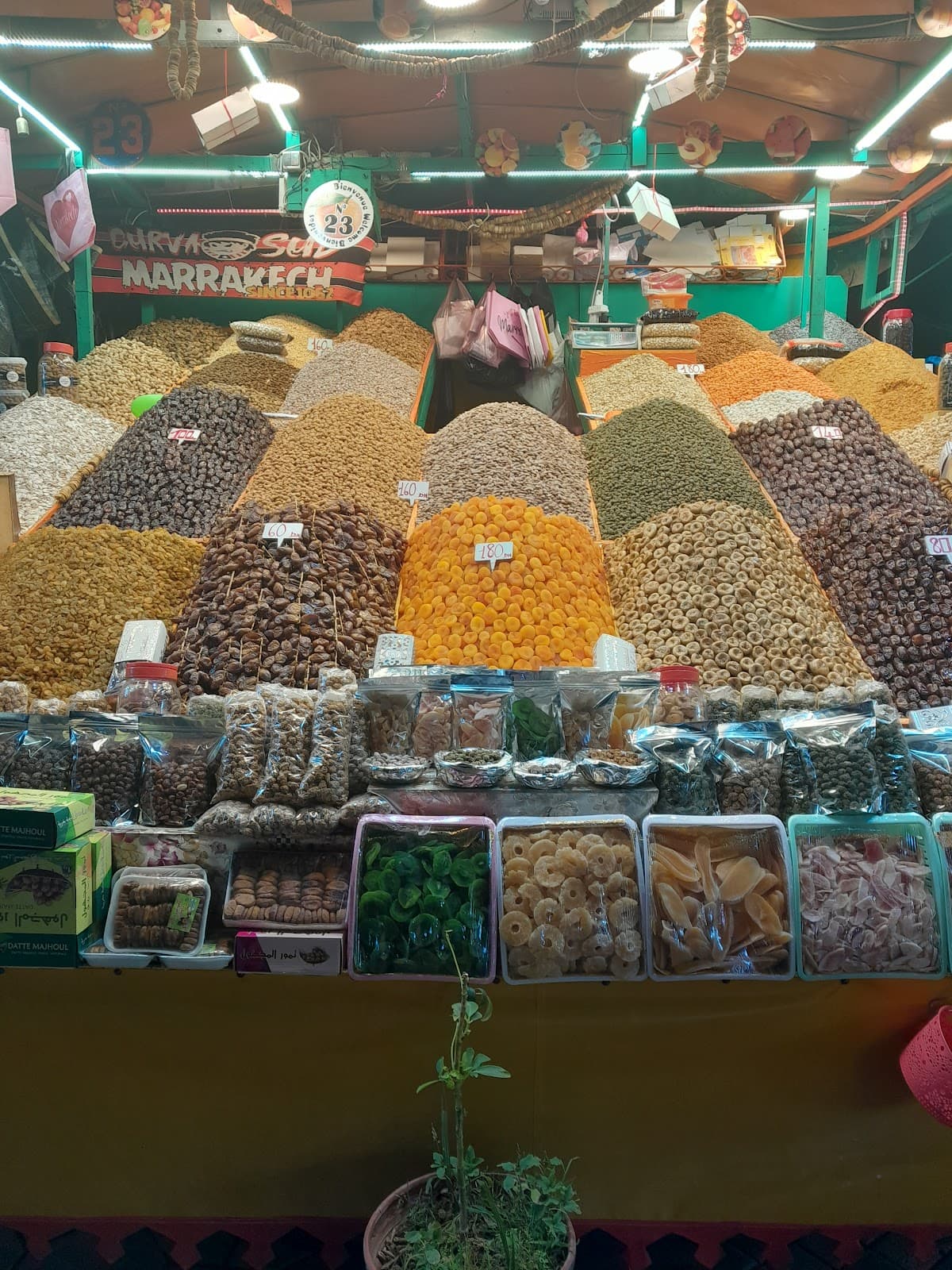 Stall 1 (Aicha)